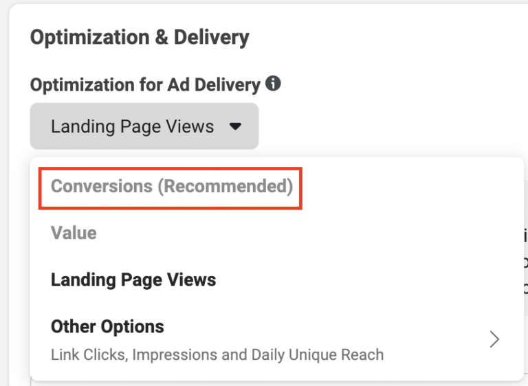 facebook ads ad set optimization, screenshot from ads manager