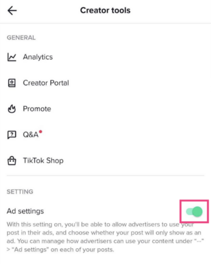 spark ads on tiktok ad settings on