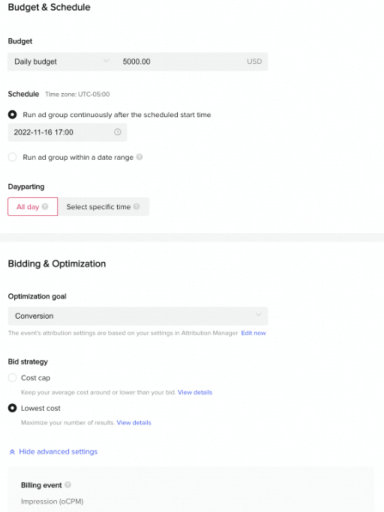 budget optimization for TikTok ads