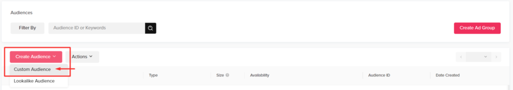 first step in creating custom audience