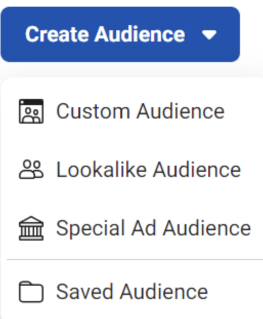 create custom audience button