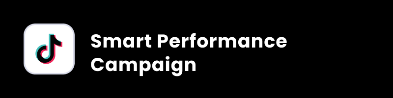 smart performance campaign on tiktok cover