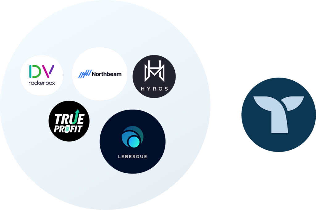 A circle containing the logos of several Triple Whale alternatives such as Rockerbox, Northbeam, Hyros, TrueProfit, and Lebesgue, displayed beside the separate Triple Whale logo.